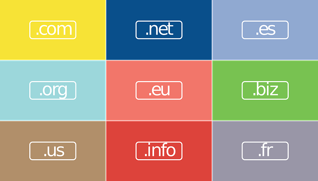 The Important in Designing and SEO
