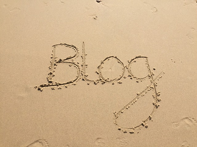Know Your Blog Backlink Basics