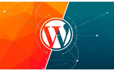Good Solid Advice About WordPress That Anyone Can Use